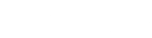 SAVVYCRAFT